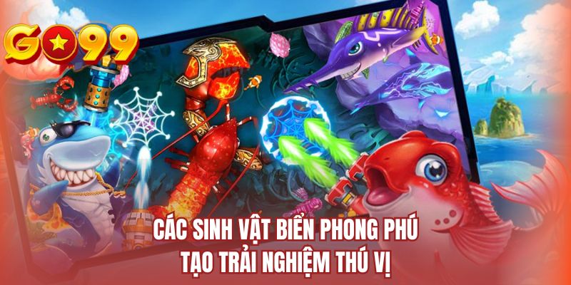 Các sinh vật biển phong phú tạo trải nghiệm thú vị
