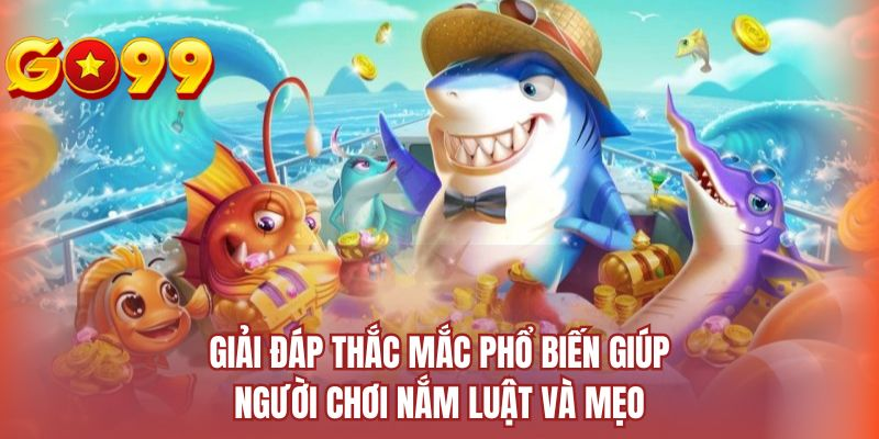 Giải đáp thắc mắc phổ biến giúp người chơi nắm luật và mẹo